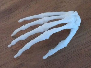 bodyparts3d main de squelette la biologie anatomie 3d print model - Mito3D