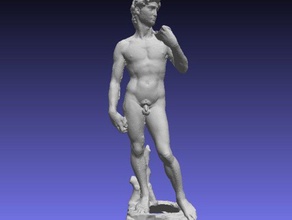 david scansioni & repliche accademia di belle arti firenze la galleria dell'accademia agisoft photoscan il gigante italia michelangelo museo nudo maschile fotogrammetria rinascimentale scultura statua 3d print model - Mito3D
