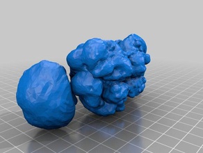 fruit fly brain animals 3d print model - Mito3D