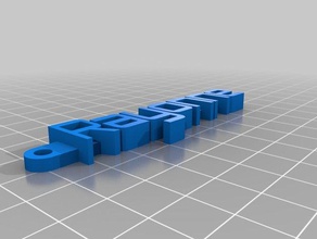rayonne organización personalizado 3d print model - Mito3D