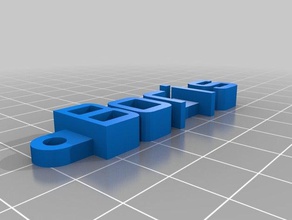 boris organizasyon özelleştirilmiş 3d print model - Mito3D