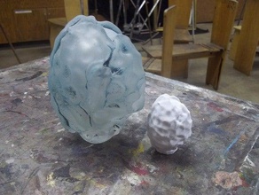 vidrio coral de cerebro 1 escaneada 123d catch exploraciones las réplicas Escaneo 3d soplado kenny galusha la escultura 3d print model - Mito3D