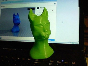 wildcat people anthropomorphic anthropomorphised comic head 3d print model - Mito3D