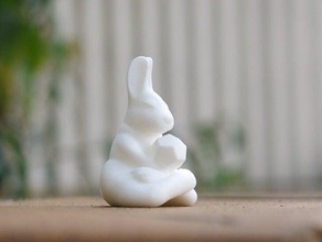 mysterabbit tamaño de archivo más pequeño las esculturas art bunny en miniatura misterio el conejo juguete 3d print model - Mito3D