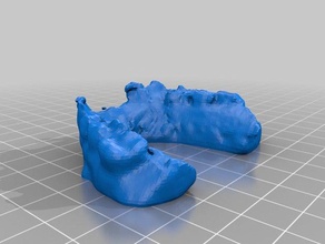 meu exame 3 scans e réplicas makerbotdigitizer scan 3d print model - Mito3D