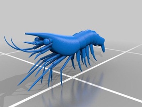 shrimp 3d print model - Mito3D