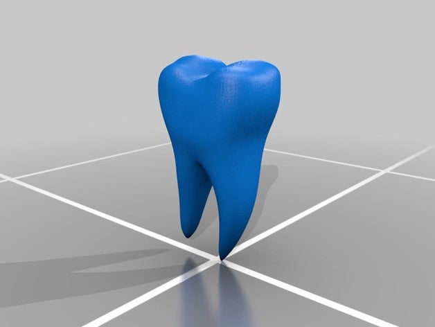tooth 3D print model - Mito3D
