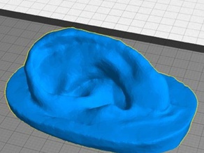das menschliche Ohr Menschen Biologie Körper Teil die medizinische simulation med-sim 3d print model - Mito3D