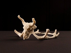storied skulls crown tiara costume halloween prop skull 3d print model - Mito3D