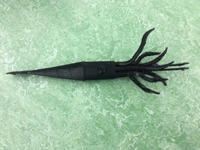 giant squid Tiere Tier openscad 3d print model - Mito3D