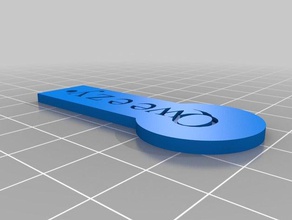 meine kundenspezifische Münze fob Haushalt kundengebundene 3d print model - Mito3D