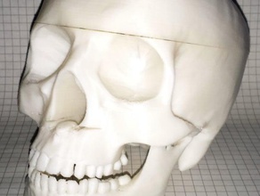 bigger bowl skull containers halloween 3d print model - Mito3D
