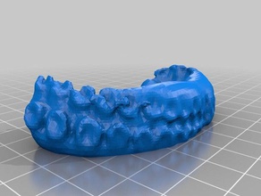 octopus textur scans & Replikate 3d print model - Mito3D