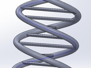 dna modelo biologia o 3d print model - Mito3D