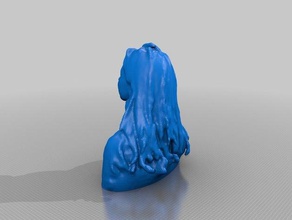 rasta julie photobooth scan-2 3d print model - Mito3D