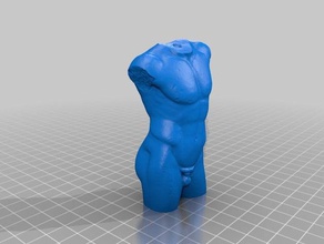 torso masculino exploraciones & réplicas 3d print model - Mito3D