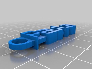 paula-Schlüsselanhänger - Organisation angepasst 3d print model - Mito3D