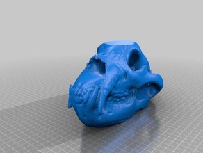 black bear skull scans & replicas makerbotdigitizer scan 3d print model - Mito3D