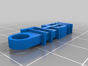 thsw anillo de claves organización personalizado 3d print model - Mito3D