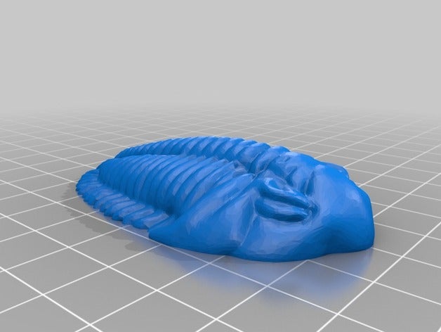 trilobite remix biology 3D print model - Mito3D