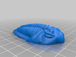 trilobite remix biology 3d print model - Mito3D