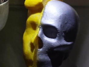 metà cranio viso scansioni & repliche faccia la scansione lato teschi due 3d print model - Mito3D