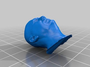 savio tête analyses & répliques gat 3d print model - Mito3D