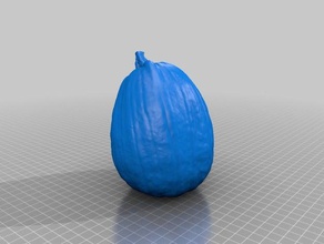 yard pumpkin scans & replicas artec eva pumkin scan squash 3d print model - Mito3D