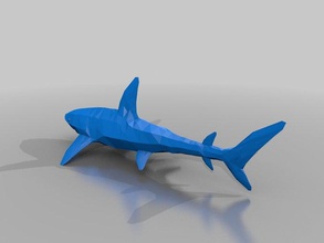 köpekbalığı hayvanlar 3d print model - Mito3D