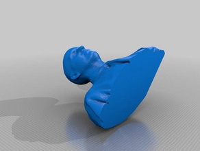 scans people 3d print model - Mito3D