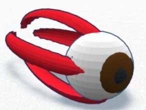 muscoli dell'occhio biologia occhio 3d print model - Mito3D
