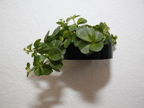 wall planter shapes sculptures 3d print model - Mito3D