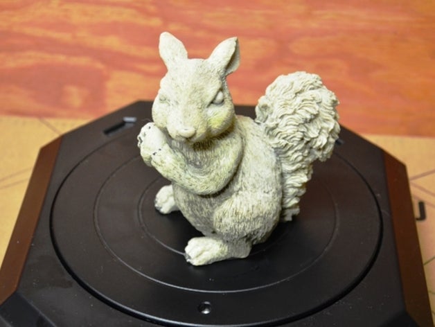 squirrel scans & replicas squirrel 3D print model - Mito3D
