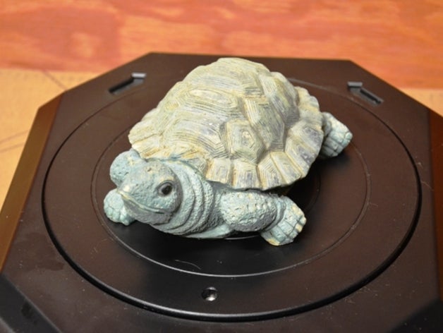 turtle scans & replicas 3D print model - Mito3D