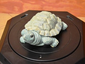 tartaruga scans e réplicas 3d print model - Mito3D