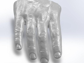 talk hand people fingers mold nails replica scan 3d print model - Mito3D