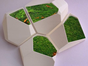 voronoi-flower pot Skulpturen 3d print model - Mito3D