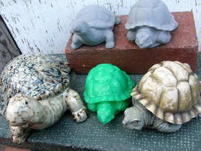turtle tortoise 123d catch 3d print model - Mito3D