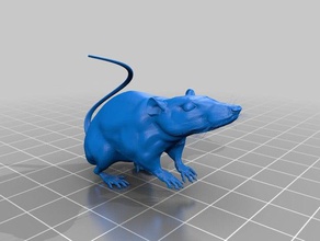 Ratte Tiere froh Maus 3d print model - Mito3D