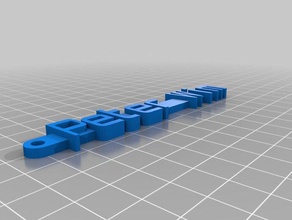 peter wim organizasyon özelleştirilmiş 3d print model - Mito3D