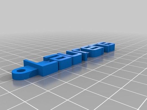 laurens organization customized 3d print model - Mito3D