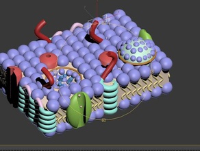 cell membrane biology bilayer biology cell membrane endocytosis membrane molecular biology phospholipids