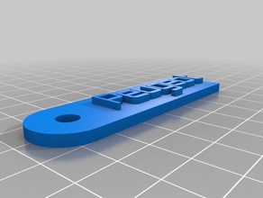 my customized message keychain peugeot key chain automotive 3d print model - Mito3D