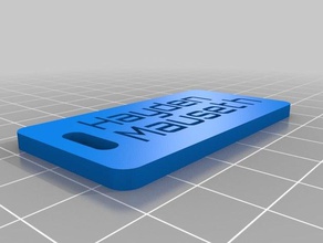 hayden tag organization customized 3d print model - Mito3D