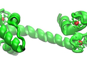 la calmoduline de biologie le calcium apb protéine protein data bank modèle structure 3d print model - Mito3D