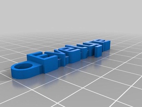 evelyne keychain organization customized 3d print model - Mito3D