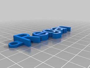 regan Anahtarlık organizasyon özelleştirilmiş 3d print model - Mito3D