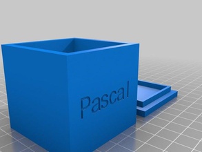 caixa de pascal recipientes personalizado 3d print model - Mito3D
