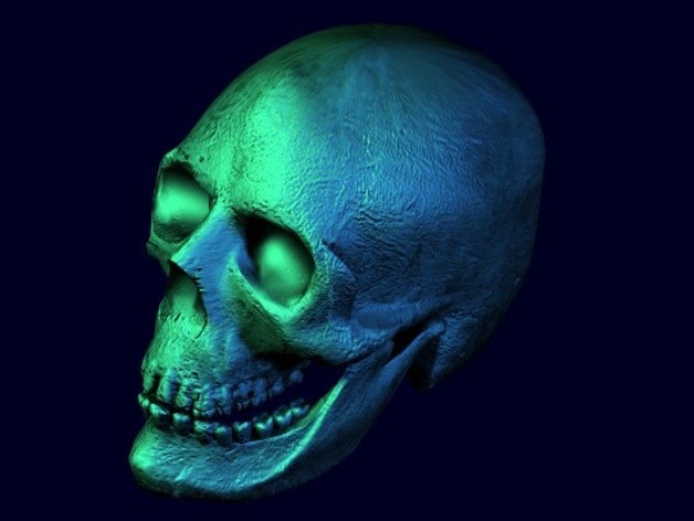 crânio biologia 3D print model - Mito3D
