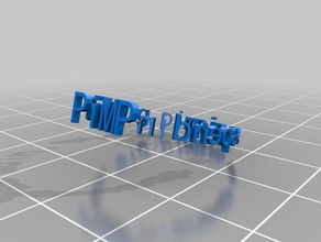 pimp anneau les anneaux personnalisé 3d print model - Mito3D